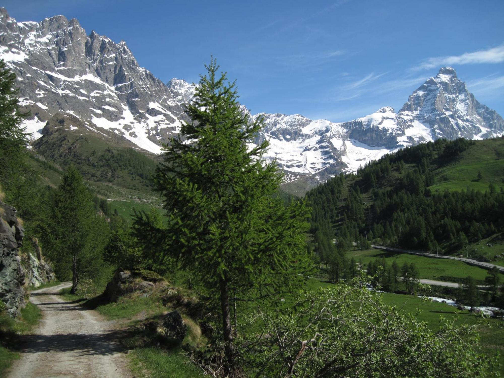 Hotel Meuble Meridiana Valtournenche Εξωτερικό φωτογραφία